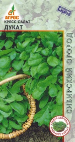 Кресс-салат "Дукат" 1г*